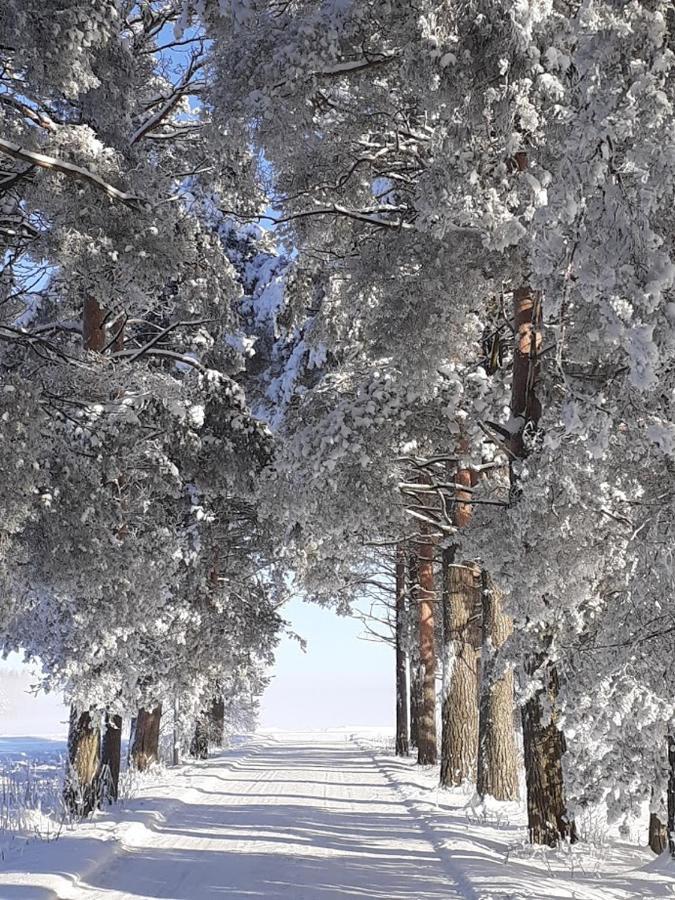 Jokihovi Hotel Nivala Bagian luar foto